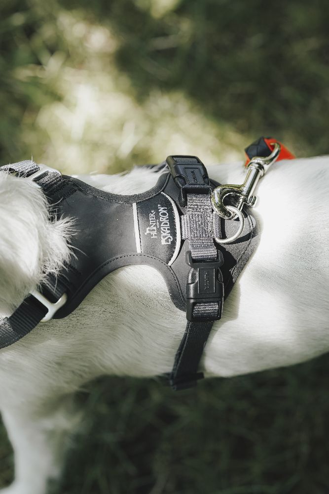 Eskadron x Hunter Hundegeschirr MOTION REFLECT anthrazit