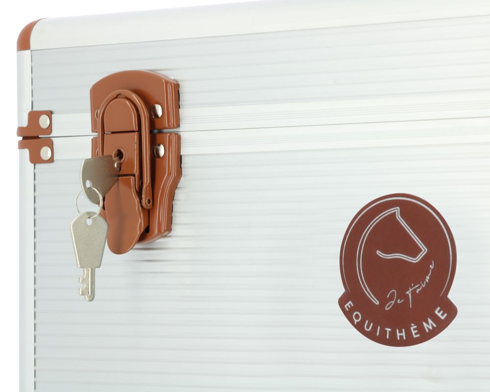 Je tàime EQUITHEME Putzbox silber