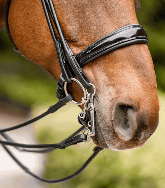 Sprenger HO-Reitkandare sensogan 12mm Uz: 5 cm 10,5 cm