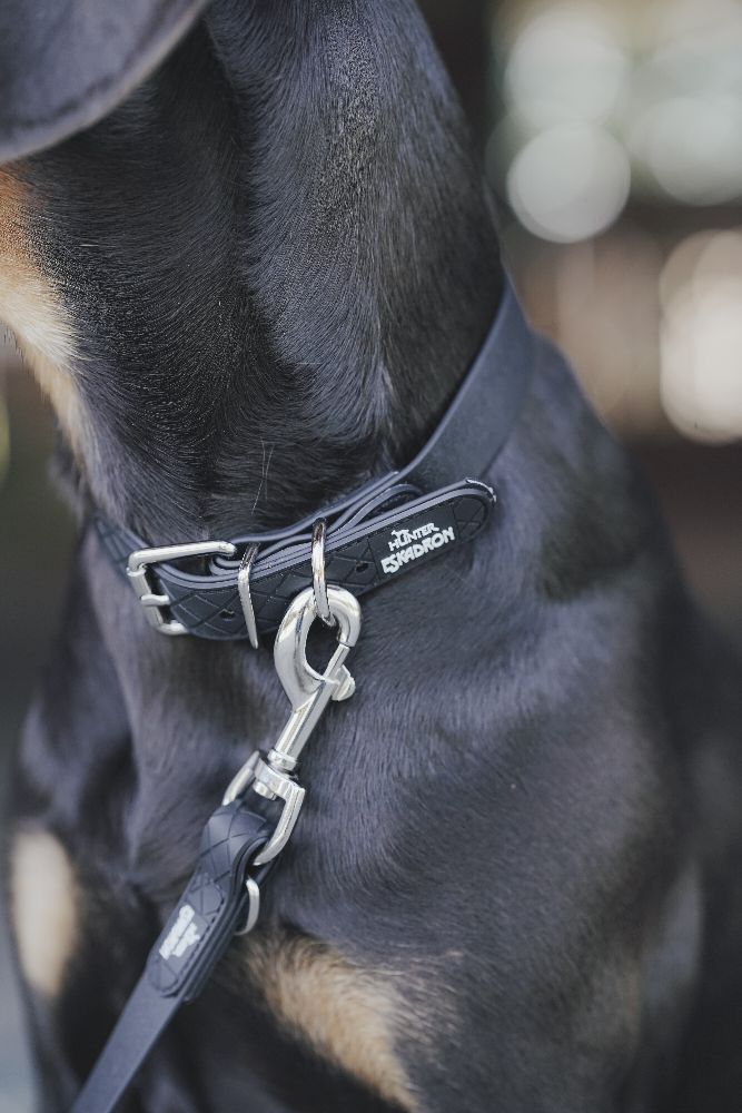 Eskadron x Hunter Hundehalsband SPARK