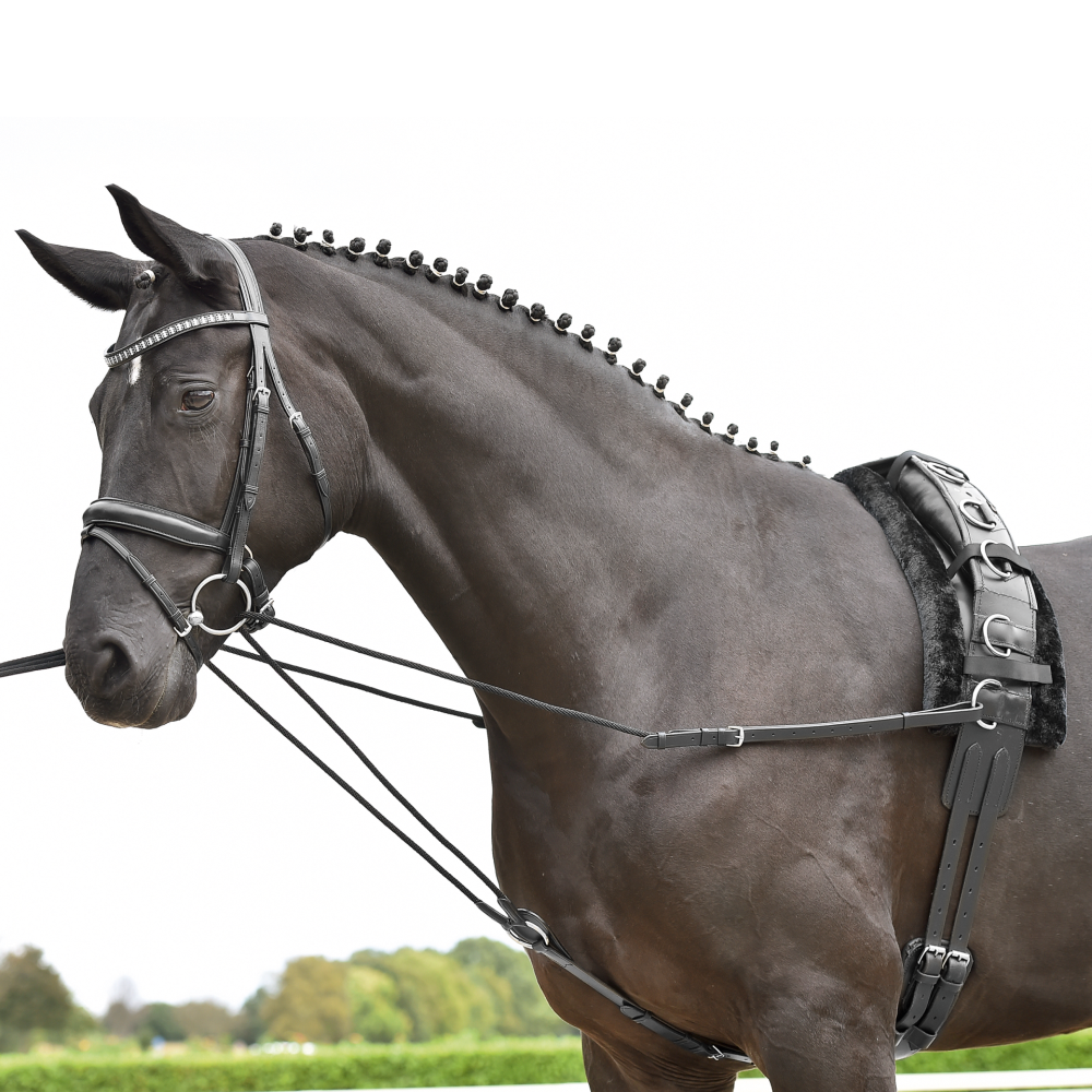 Busse Dreieckszügel BASIC-KORDEL schwarz P Busse Dreieckszügel BASIC-KORDEL schwarz P