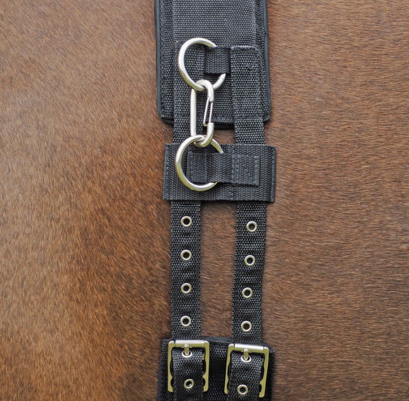 Busse Longiergurt PROFI-SOFT schwarz P