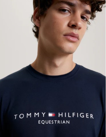 Tommy Hilfiger WILLIAMSBURG Herren T-Shirt Desert Sky S