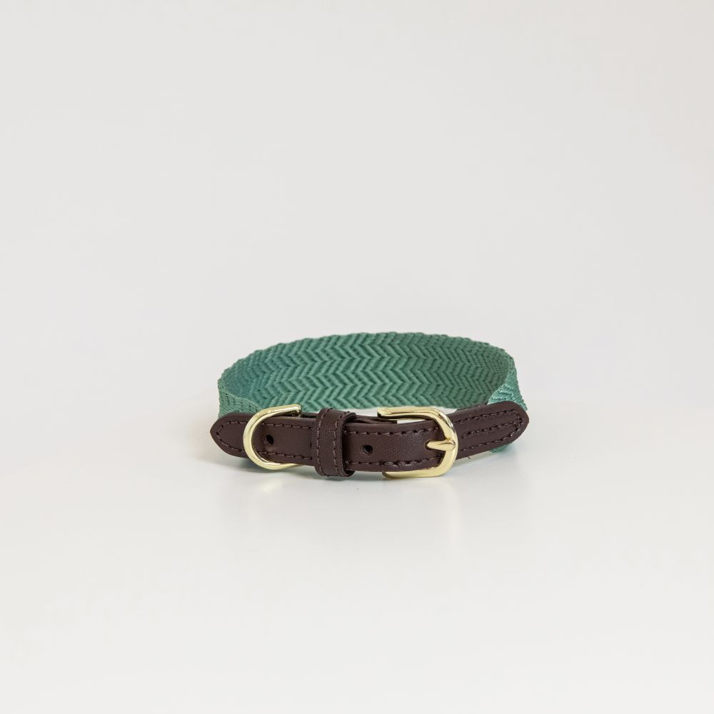 Kentucky Dogwear Hunde Halsband Jacquard olivgrün XS 37cm