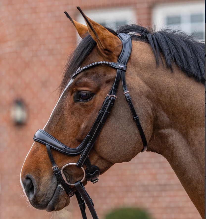 Passier Trense MOVE by J. Krajewski havanna WB