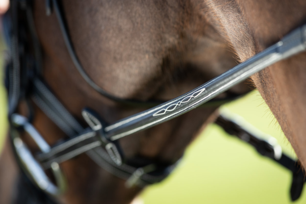 HFI Trense Comfort black COB