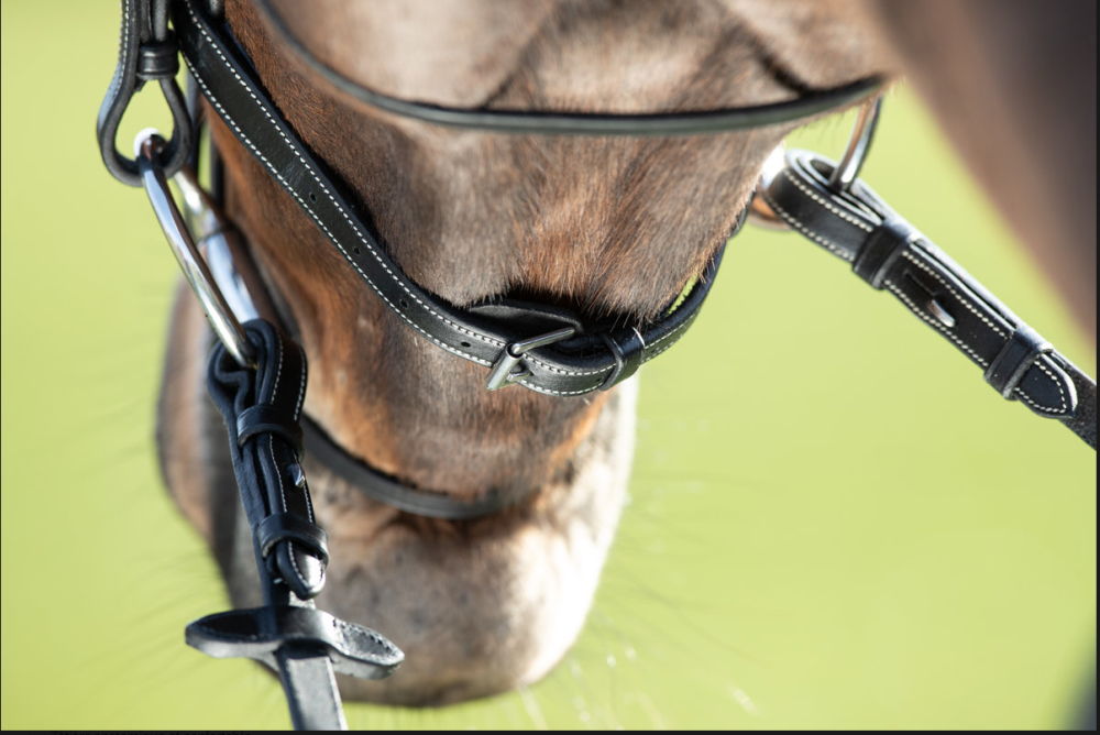 HFI Trense Comfort black COB