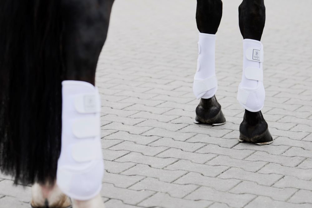 Eskadron Gamaschen PRO DRESSAGE BACK P24 white VB