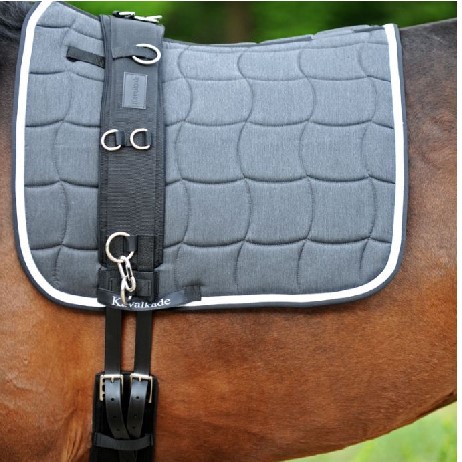 Kavalkade Longiergurt VB/WB  schwarz
