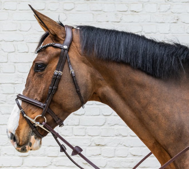 DYON Trense aus weichem Leder braun COB