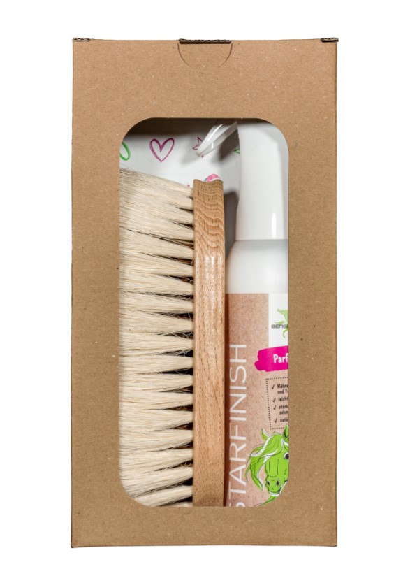 Geschenkset "SchmutzLiese" + StarFinish 500ml