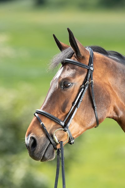 HFI Trense Comfort black COB
