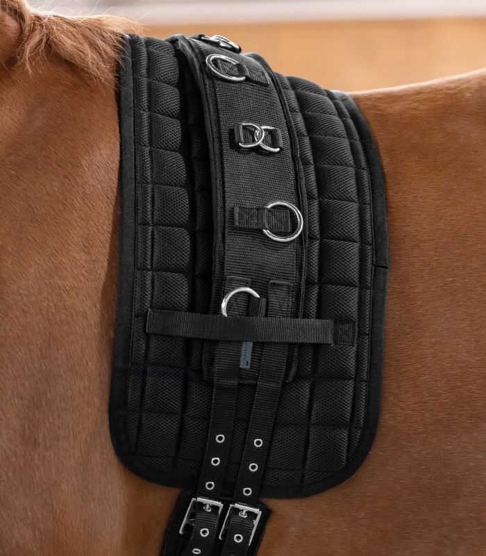 Waldhausen Longiergurt Supersoft schwarz Warmblut