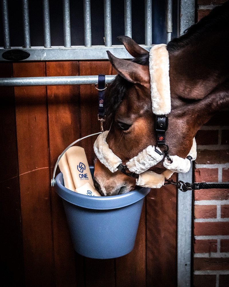 One Equestrian Eimer One Bucket navy