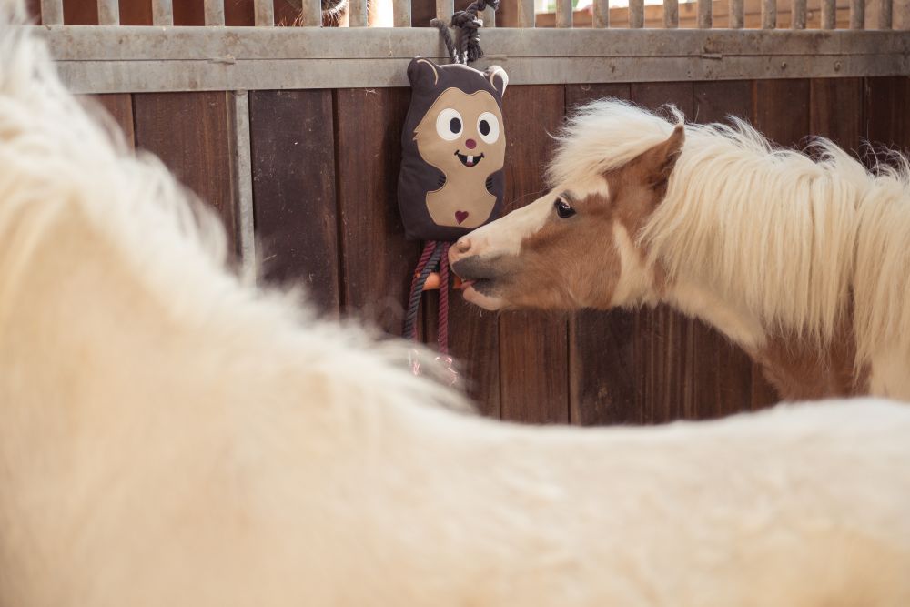 Eskadron Spielzeug HAMSTER H25/26