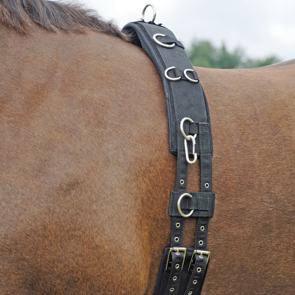 Busse Longiergurt PROFI-SOFT Busse Longiergurt PROFI-SOFT