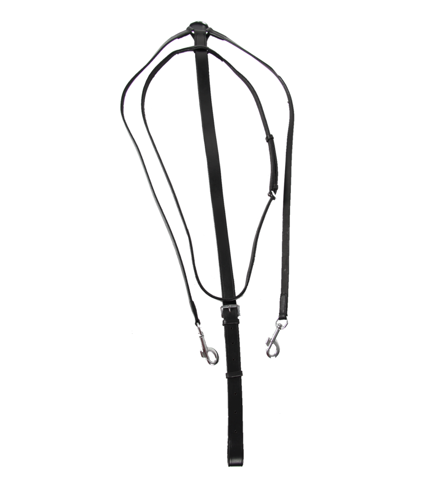 Waldhausen Thiedemann Martingal, schwarz WB Waldhausen Thiedemann Martingal, schwarz WB