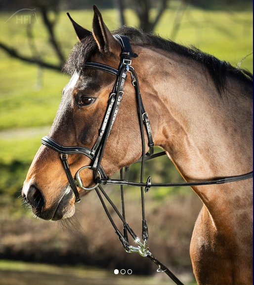 HFI Gogue schwarz-silber Pony