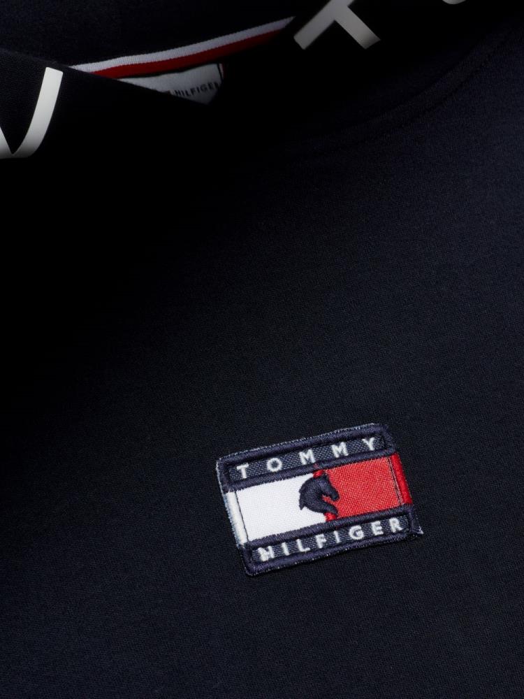 Tommy Hilfiger CALGARY Logo Hoodie Desert Sky XXS