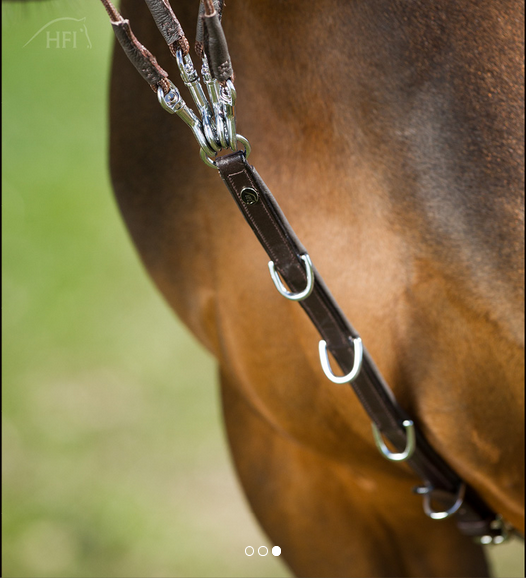 HFI Gogue schwarz Pony