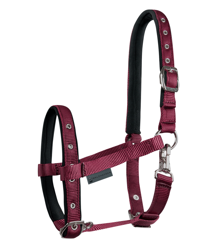Waldhausen Fohlenhalfter Comfort bordeaux