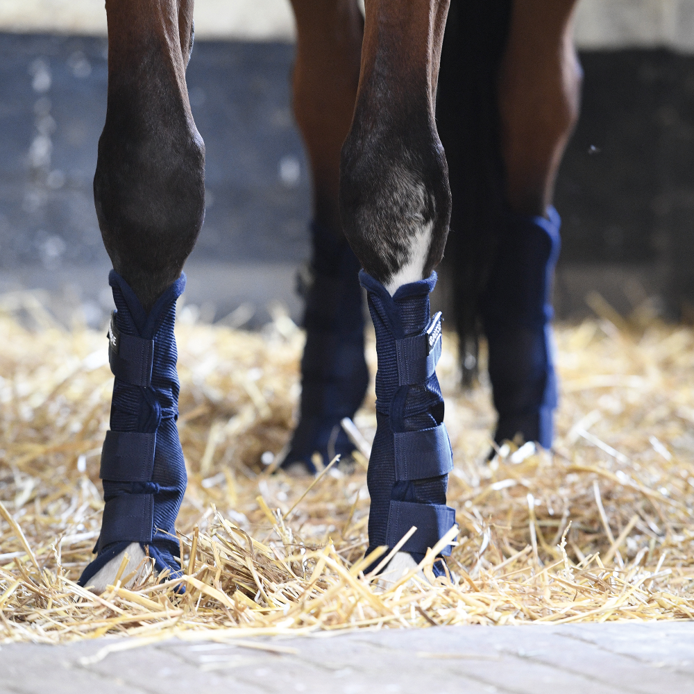 Busse Fliegen Gamaschen 4er Set navy