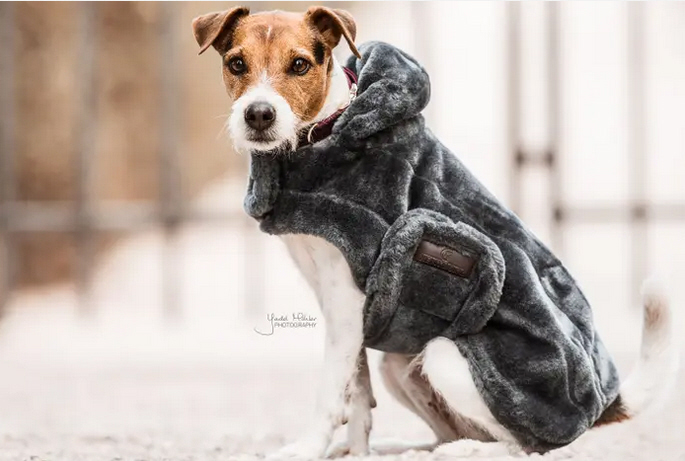 Kentucky Dogwear Hundemantel fake fur grau XS 31cm